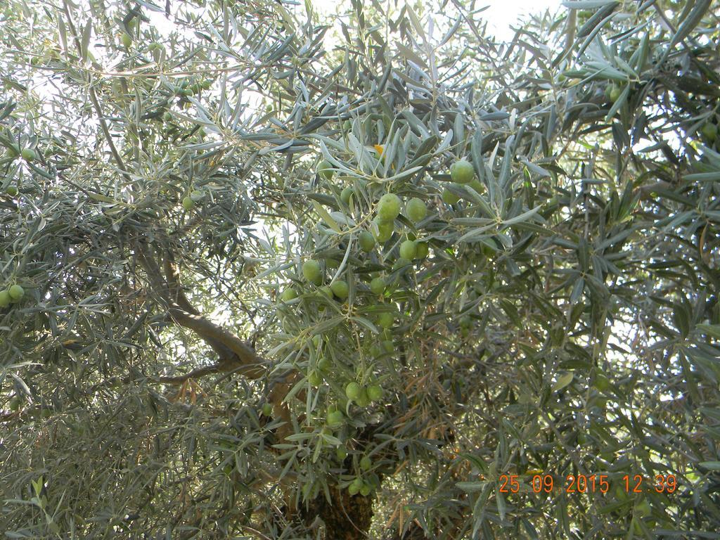 דירות Apartamento Granada מונאצ'יל חדר תמונה